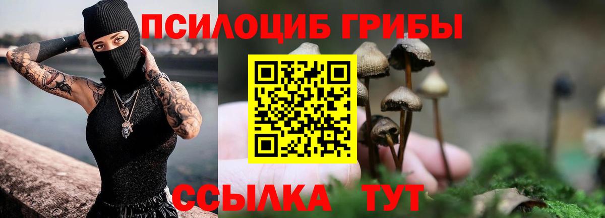Псилоцибиновые грибы GOLDEN TEACHER Верхний Уфалей